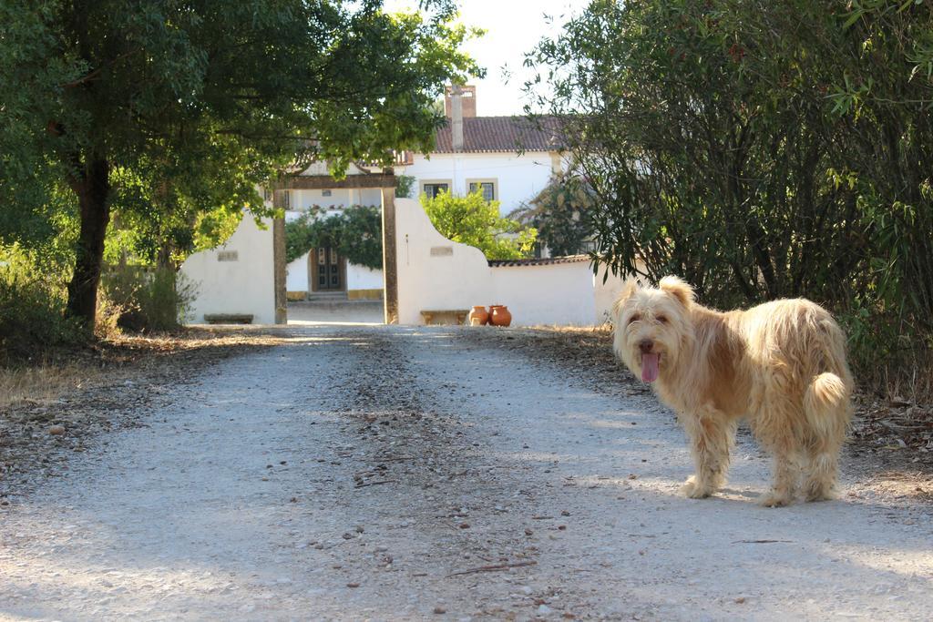 Quinta Do Valle Tomar Exterior foto